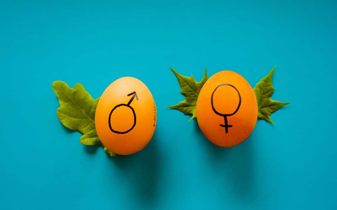Does Sex or Gender of Therapist Matter