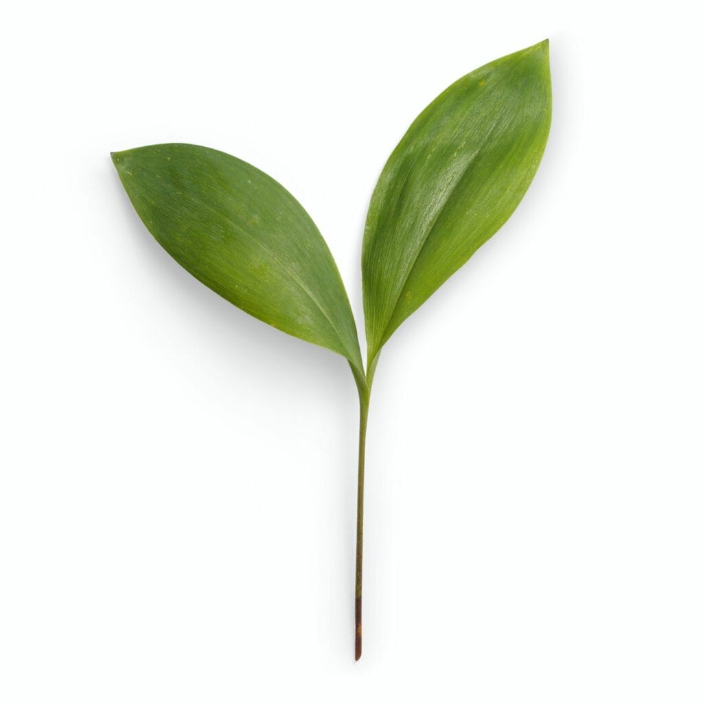 industry leading therapists in Philadelphia, PA industry leading therapists in philadelphia, pa