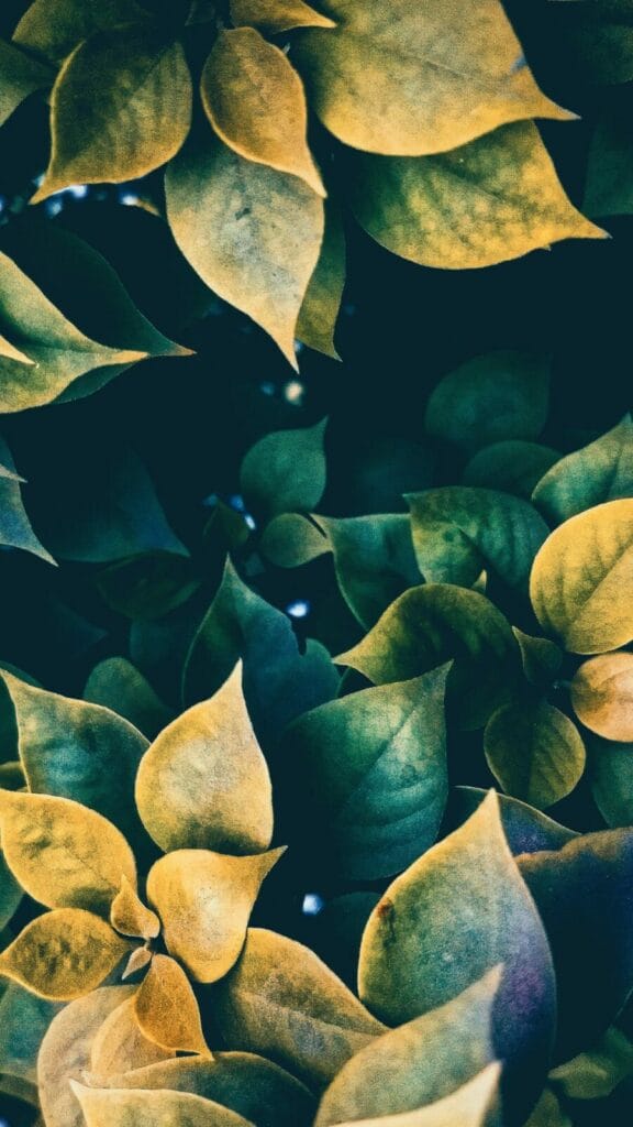 adjustment disorder treatment adjustment disorder treatment